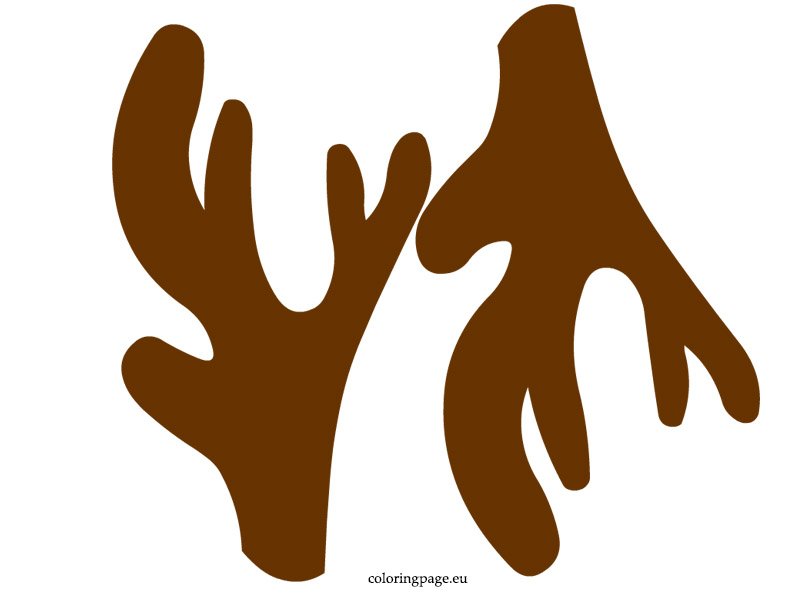 Reindeer antler coloring page