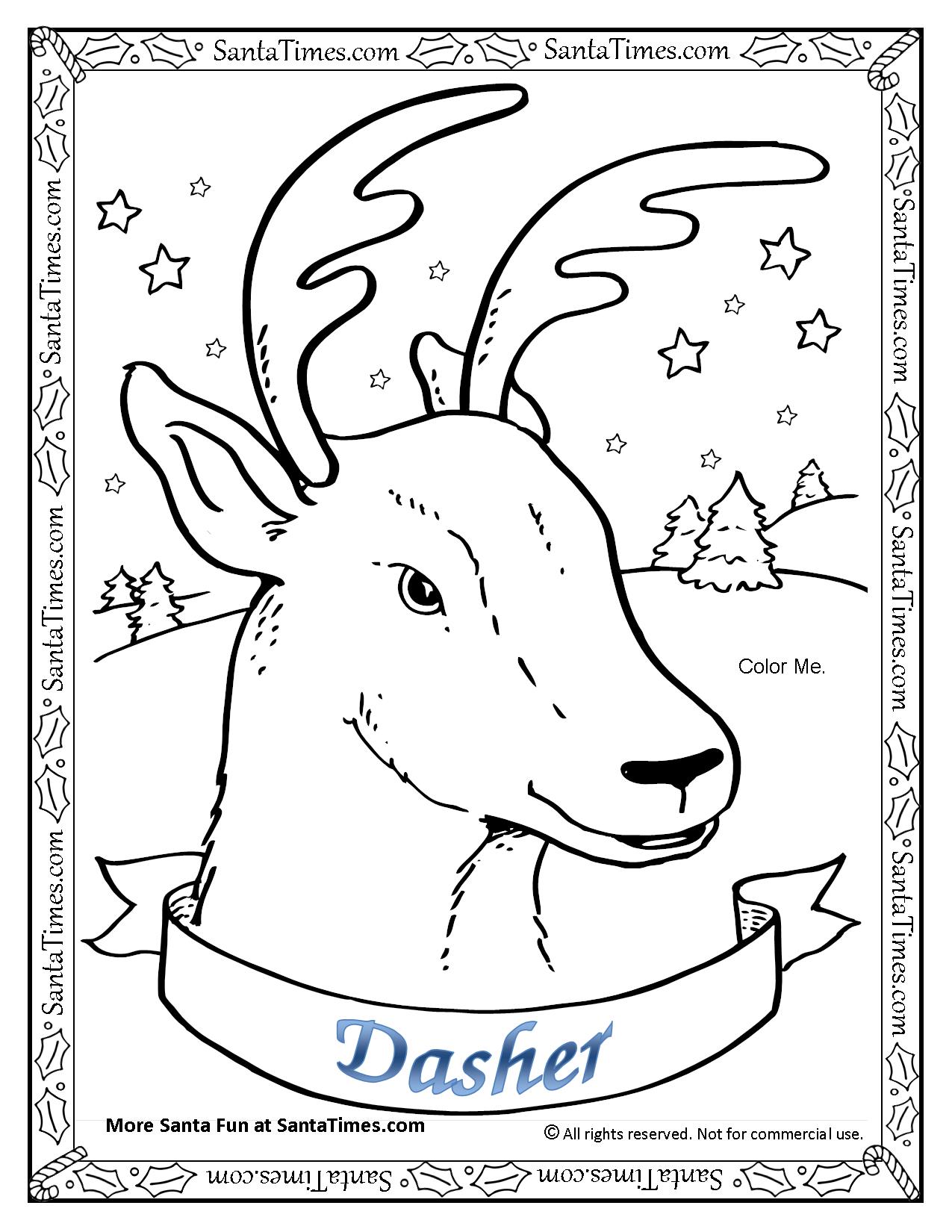 Dasher the reindeer