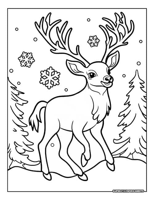 Reindeer coloring pages