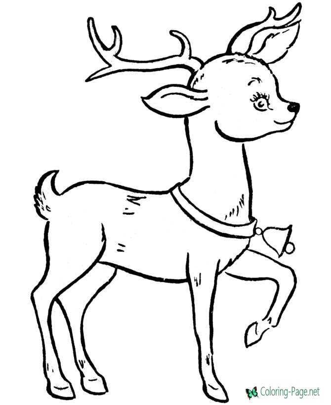 Reindeer coloring pages