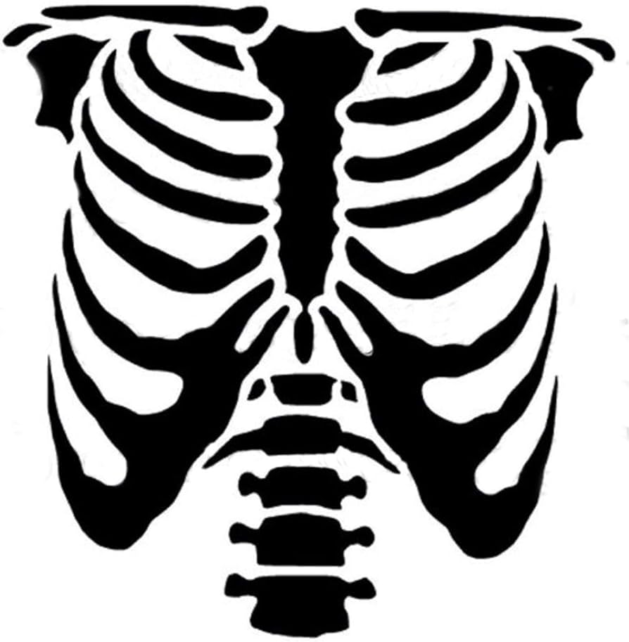 Braides halloween skeleton reusable stencil for painting on wood wall furniture airbrush drawing patterndesign rib cage bones death material mylar size x arts crafts sewing