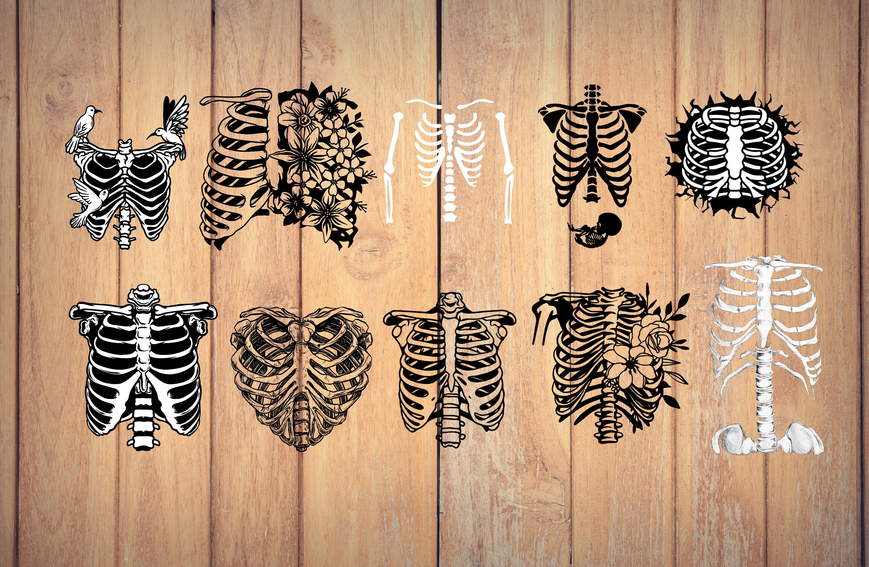 Rib cage printable