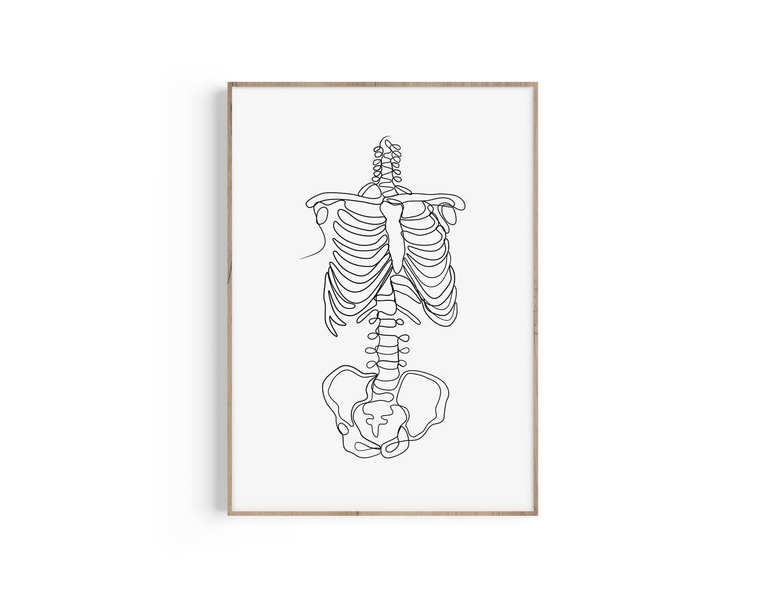 Rib cage printable