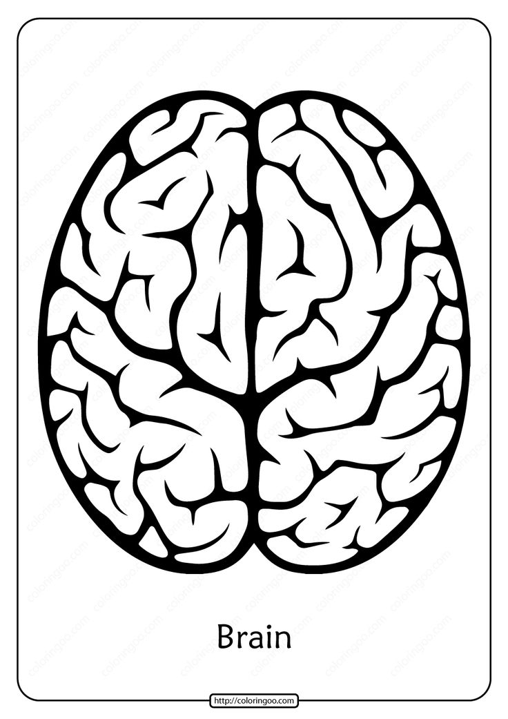 Free printable brain outline pdf coloring pages coloring pages brain art barbie coloring pages