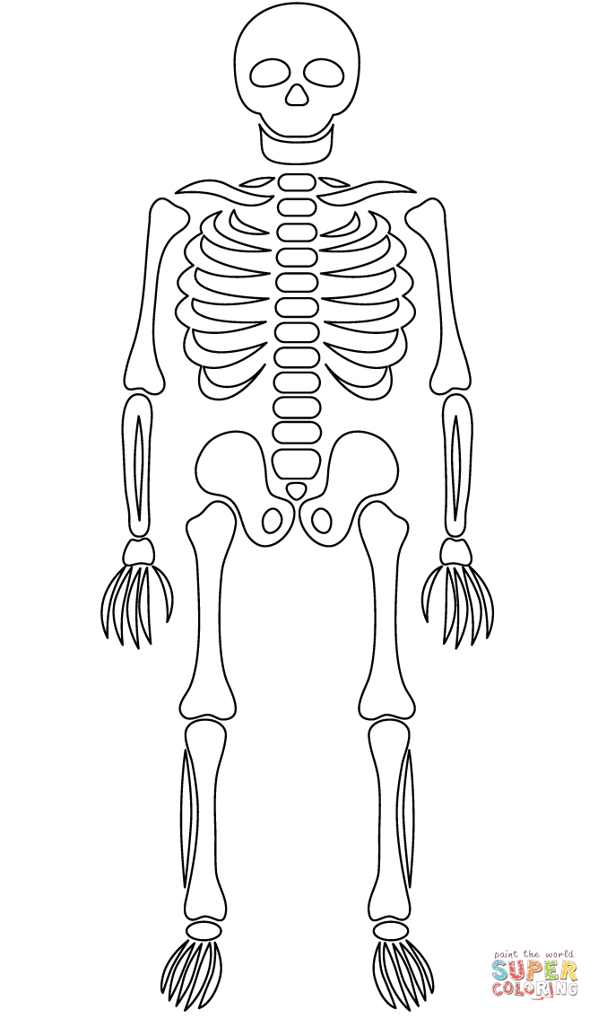 Skeleton coloring page free printable coloring pages