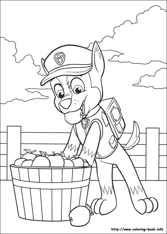 Paw patrol coloring picture