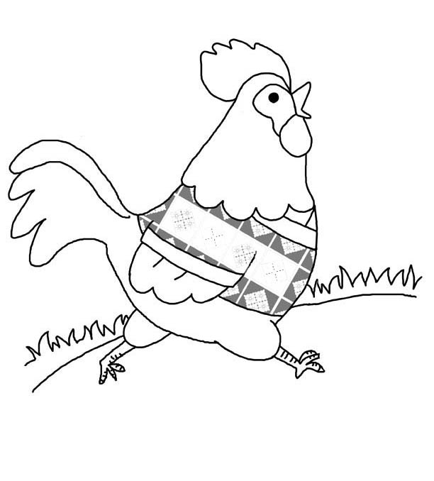 Chicken coloring pages