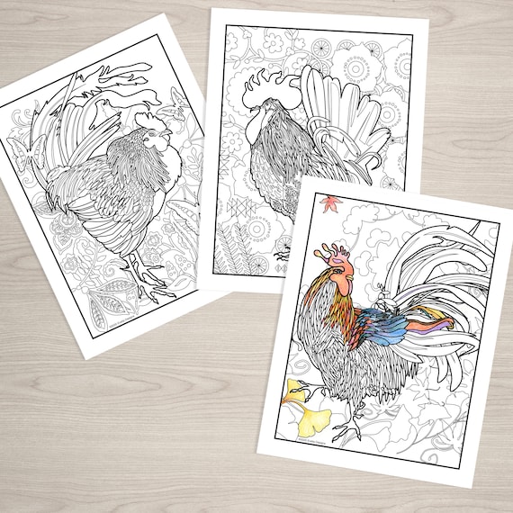 Roosters three unique printable coloring pages from evelia