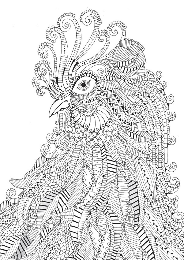 Art therapy coloring page animals rooster