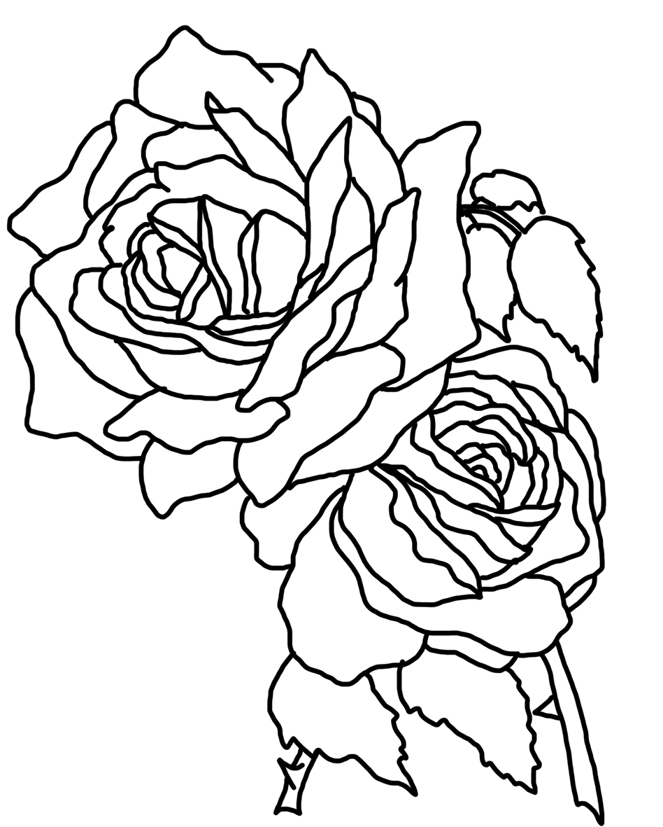 Coloring pages two roses coloring page