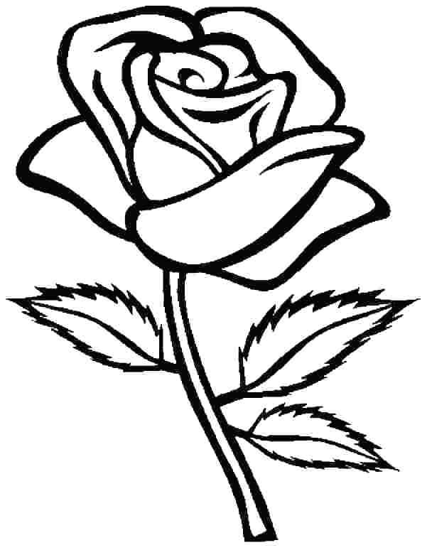 Printable rose coloring pages pdf for everyone