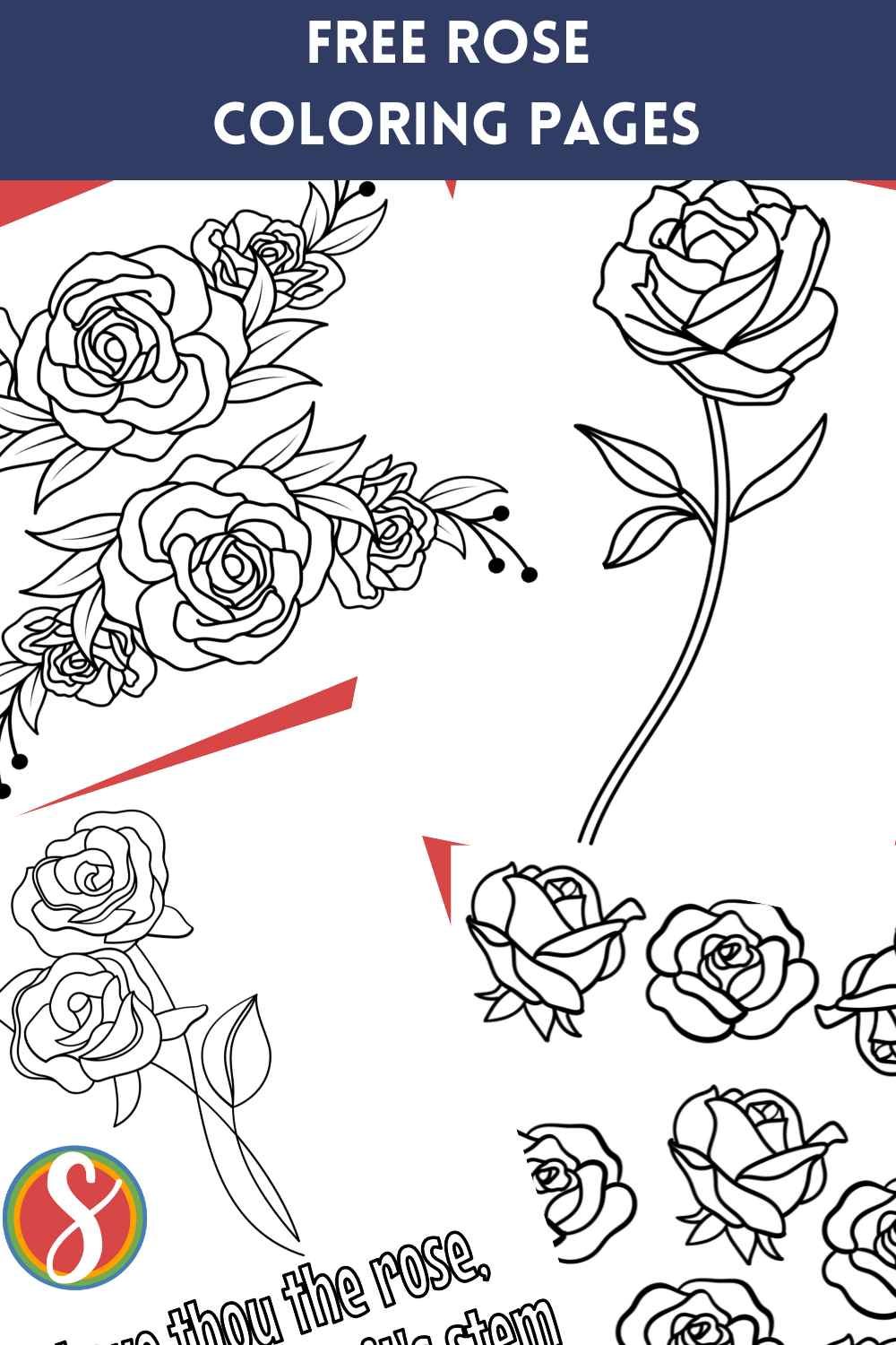 Free flower rose coloring pages â stevie doodles