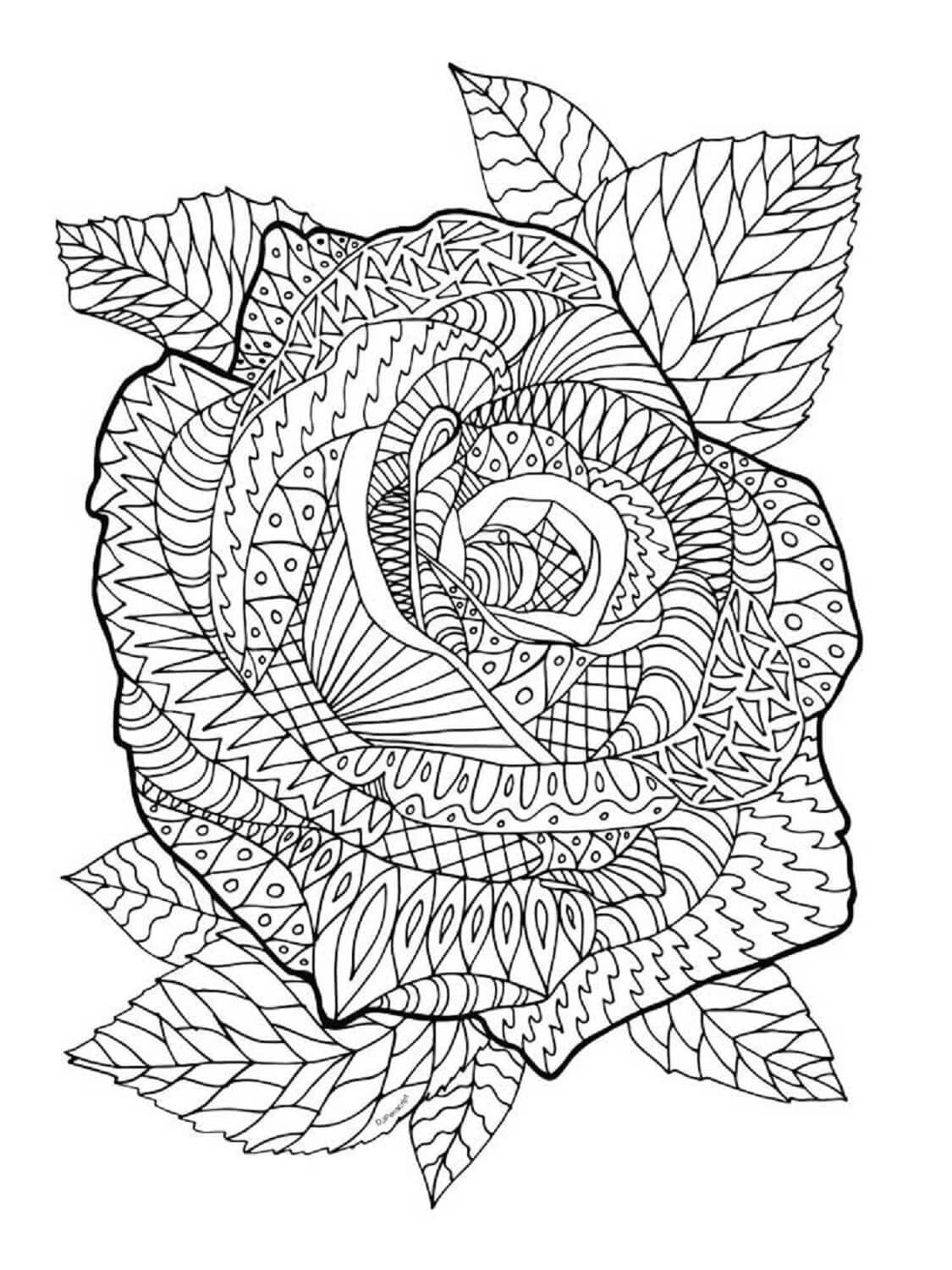 Zentangle rose coloring page
