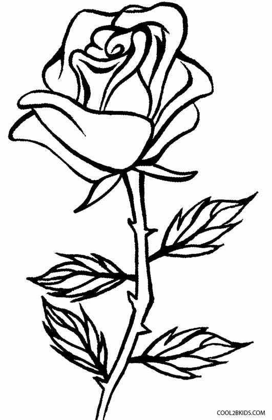 Printable rose coloring pages for kids coolbkids rose coloring pages flower coloring pages flower drawing