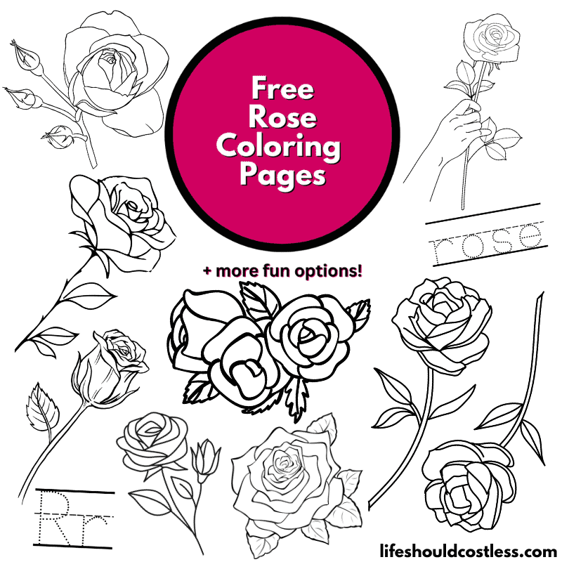 Rose coloring pages free printable pdf templates