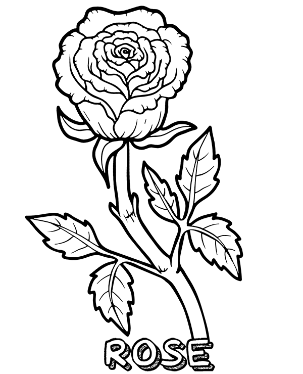 Rose coloring page to print flower