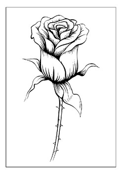 Express your love with roses printable rose coloring pages collection for kids