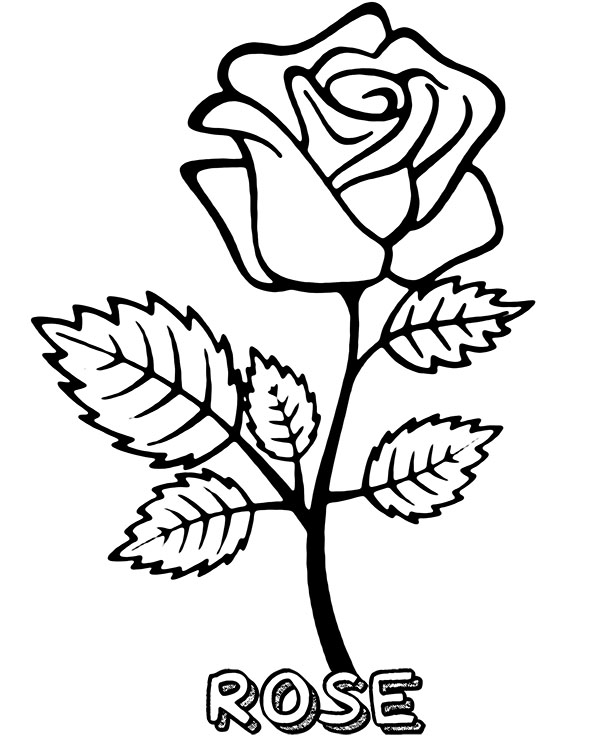 Printable rose coloring page sheet