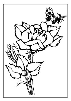 Express your love with roses printable rose coloring pages collection for kids