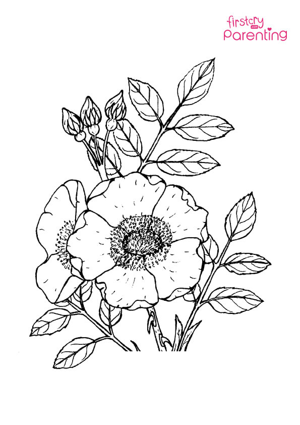 Easy printable rose coloring pages for kids