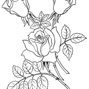 Rose coloring pages printable for free download