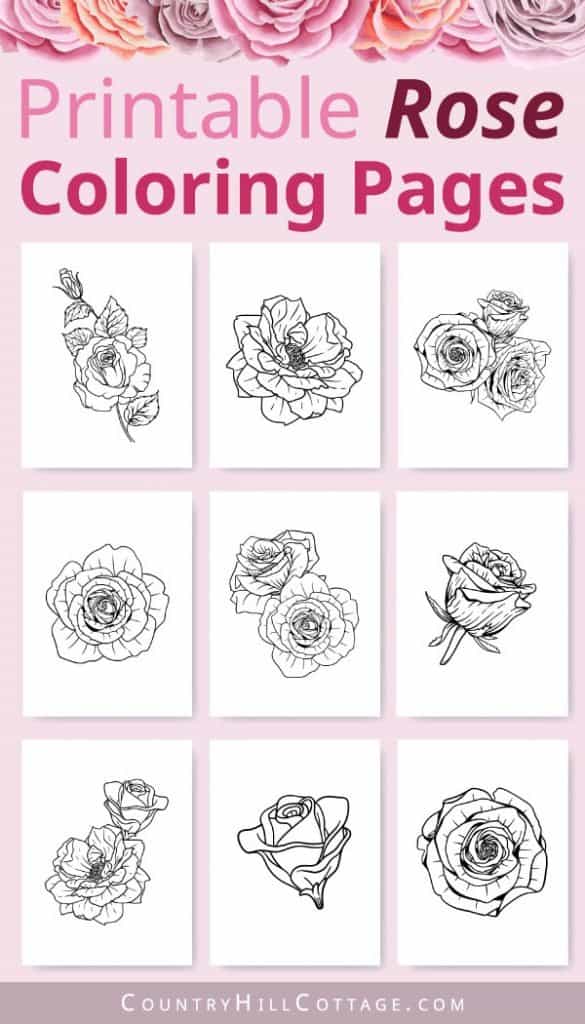 Free printable rose coloring pages realistic designs for adults