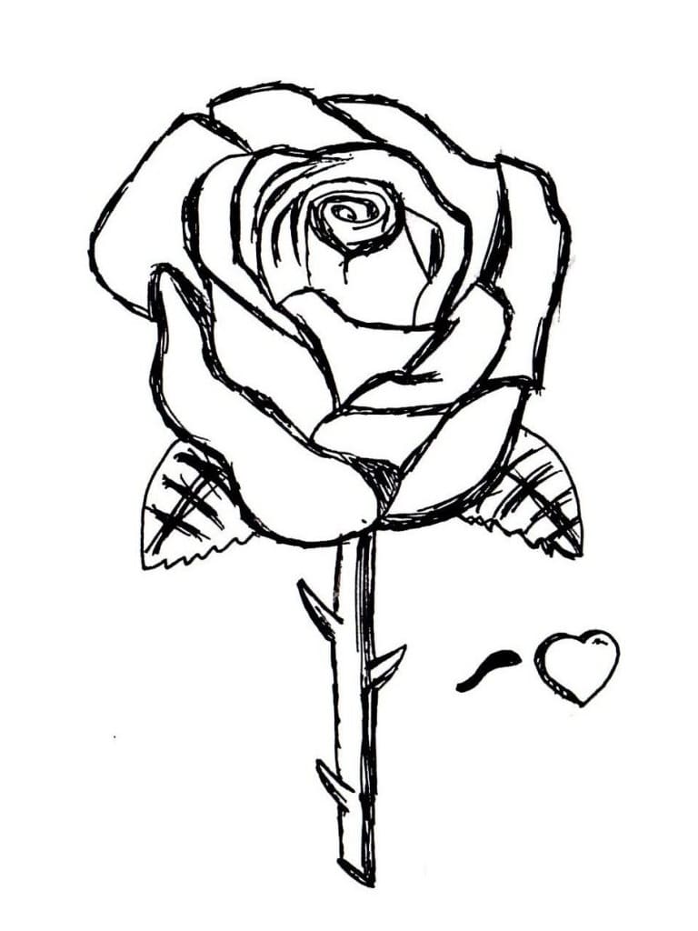 Rose coloring pages