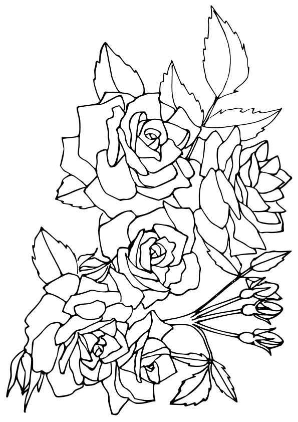 Rose coloring pages free printable nurie