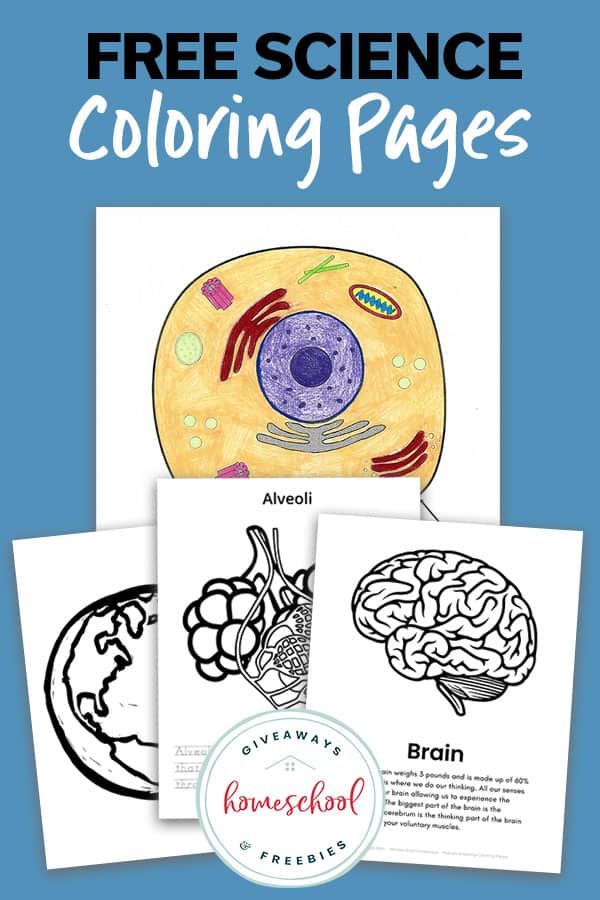 Free printable science coloring pages for kids