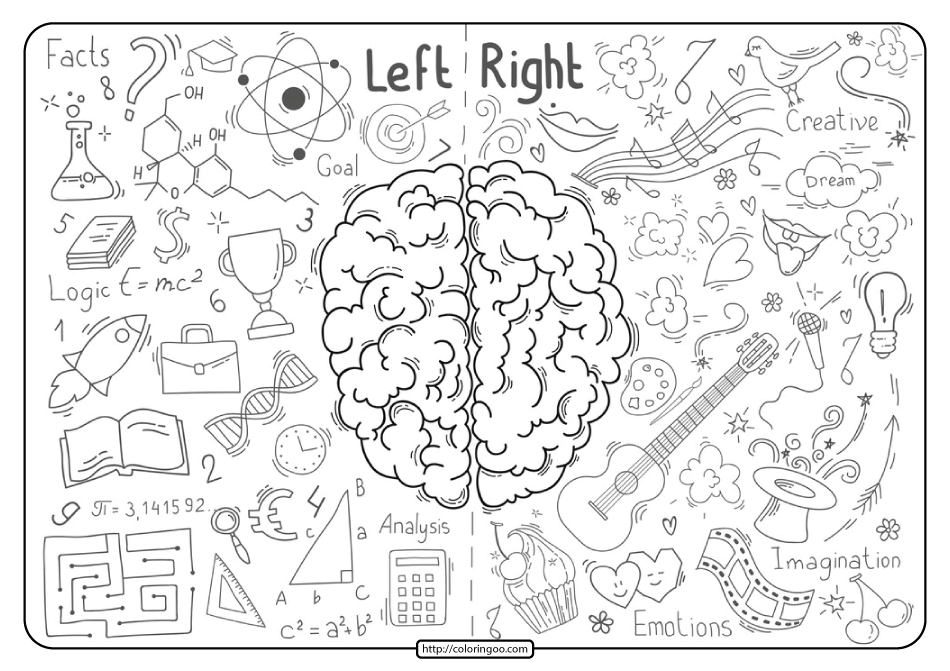 Free printable brain lobes pdf coloring pages coloring pages coloring books homeschool science