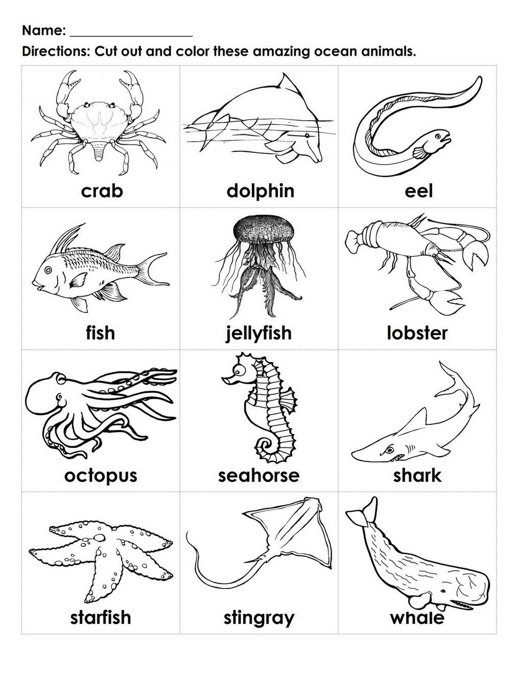 Free printable sea creatures flashcards flashcards sea animals preschool ocean coloring pages animals black and white