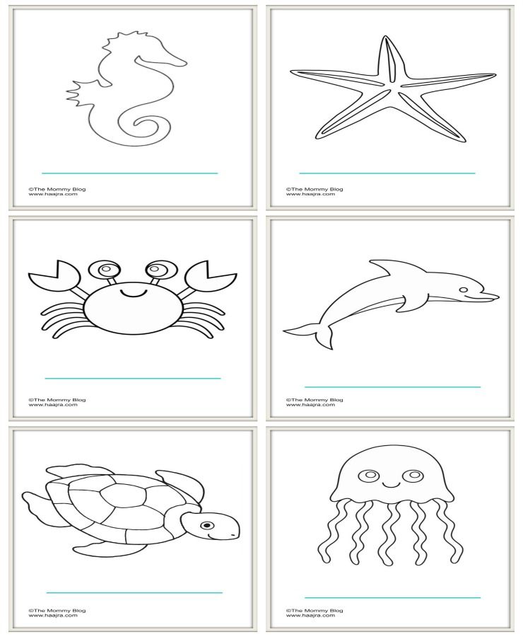 Sea animals printable colouring sheets free preschool coloring pages sea animals preschool printable coloring sheets