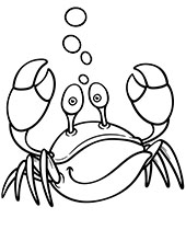 Water animals coloring pages for children