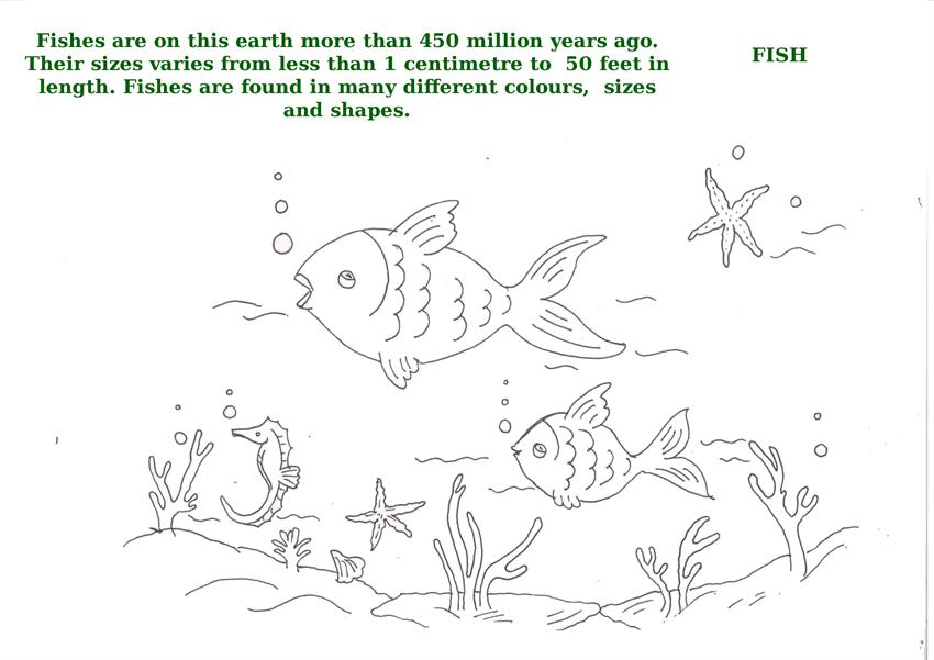 Ocean animals printable coloring pages for kids