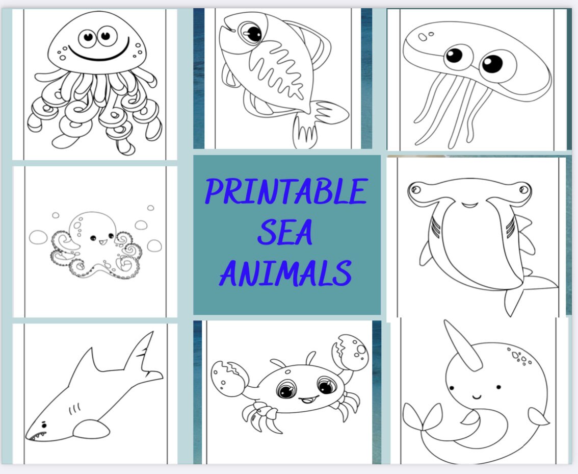 Sea animal coloring pages for kids boys girls activities