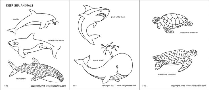 Sea animals free printable templates coloring pages firstpalette deep sea animals sea animals coloring pages