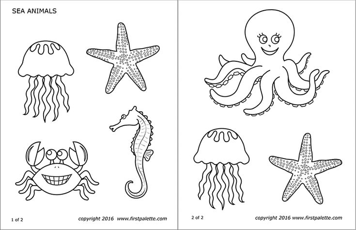 Sea animals free printable temples coloring pages under the sea coloring pages jellyfish coloring page fâ fun crafts crafts for kids animal printables