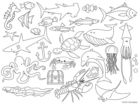 Sea life cut and paste activity coloring pages â tims printables