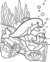 Water animals coloring pages for children