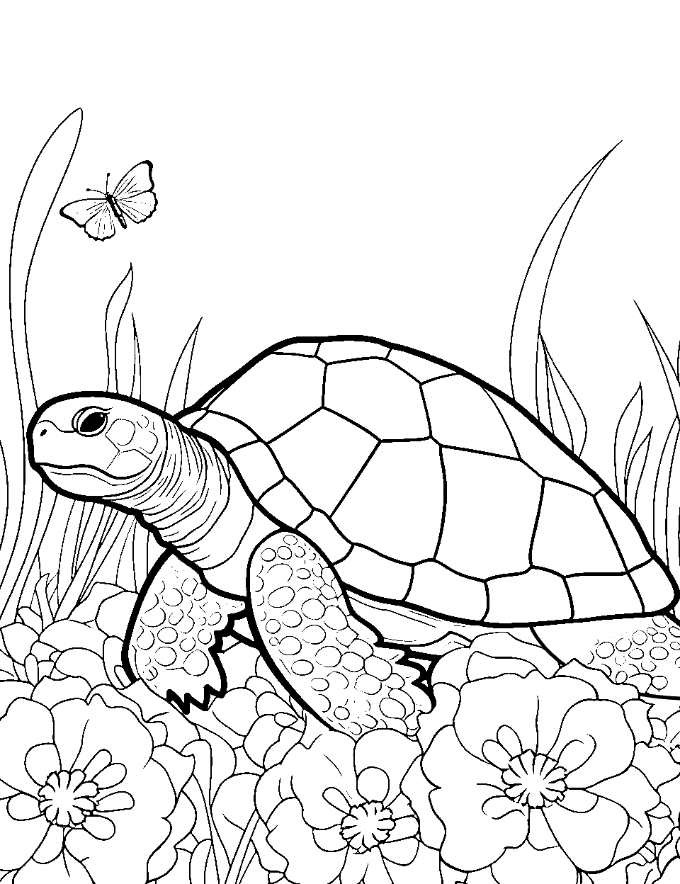 Turtle coloring pages free printable sheets