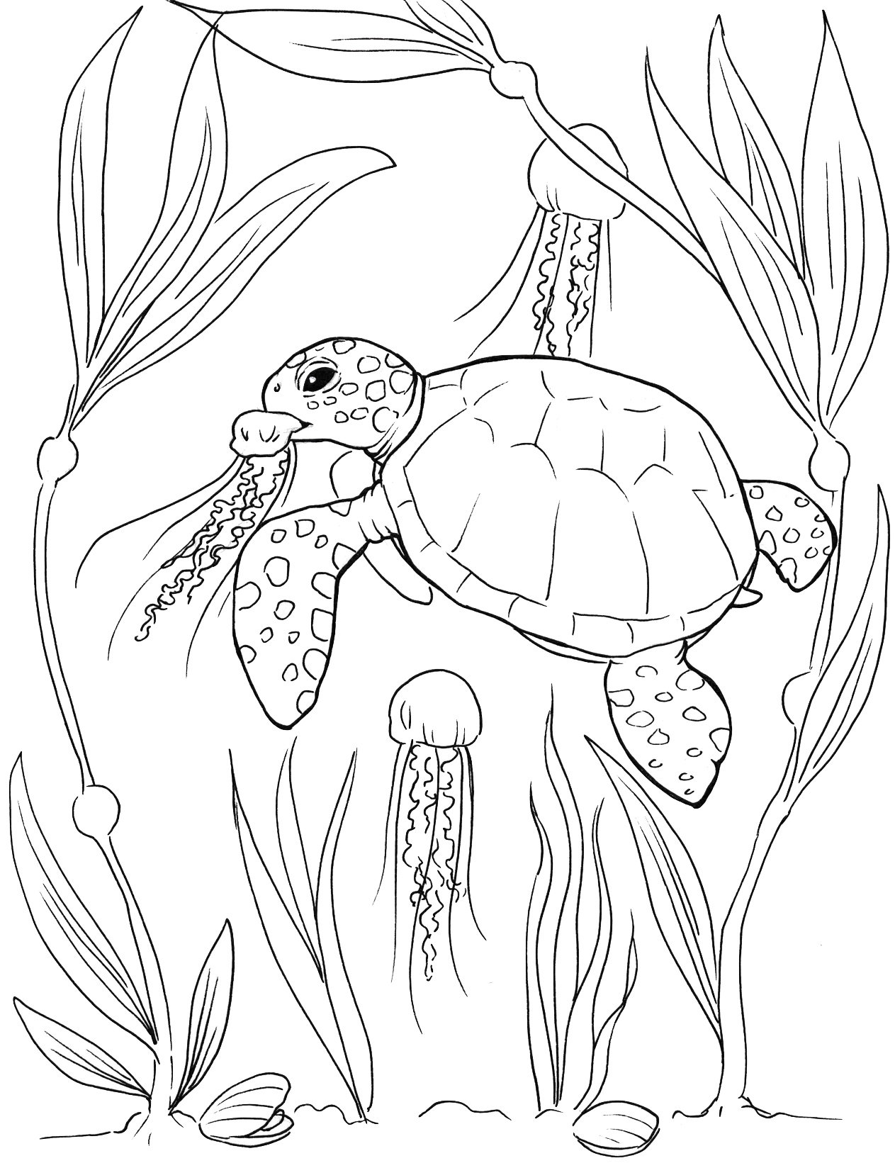 Sea turtle coloring pages