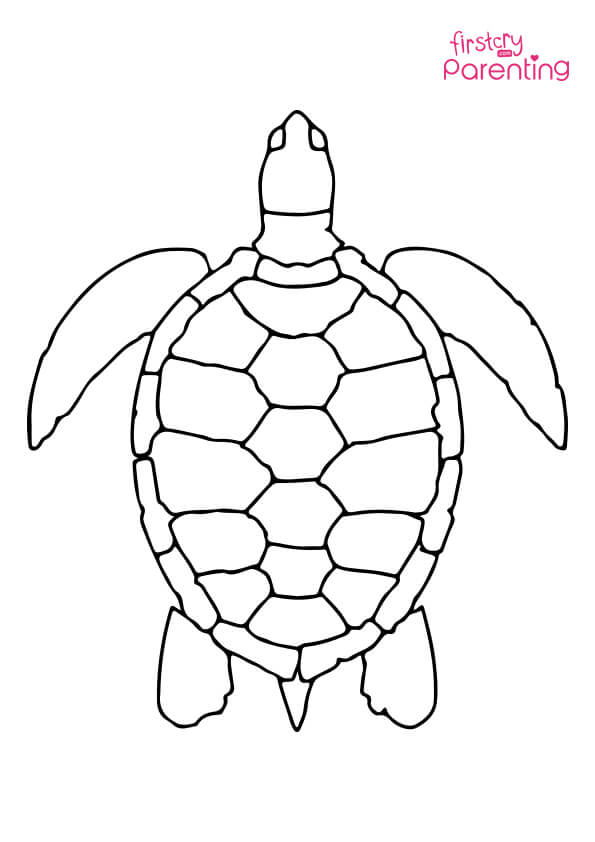 Sea turtle coloring page for kids