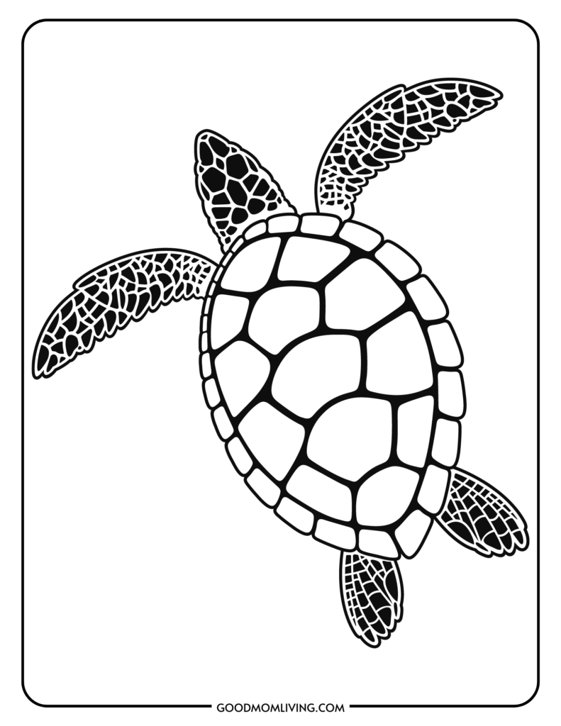 Sea turtle coloring pages free printable turtles