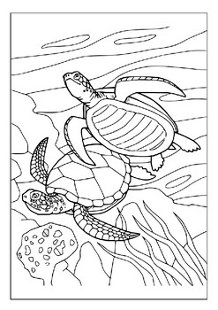 Dive into the world of sea turtles with our printable coloring pages for kids