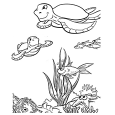 Top free printable cute sea turtle coloring pages online