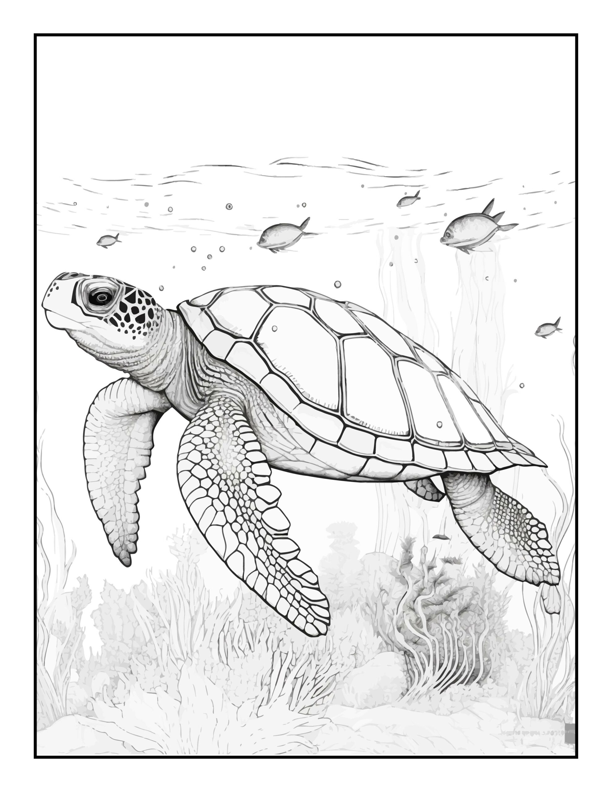 Dive into creativity with our sea coloring pages made by teachers