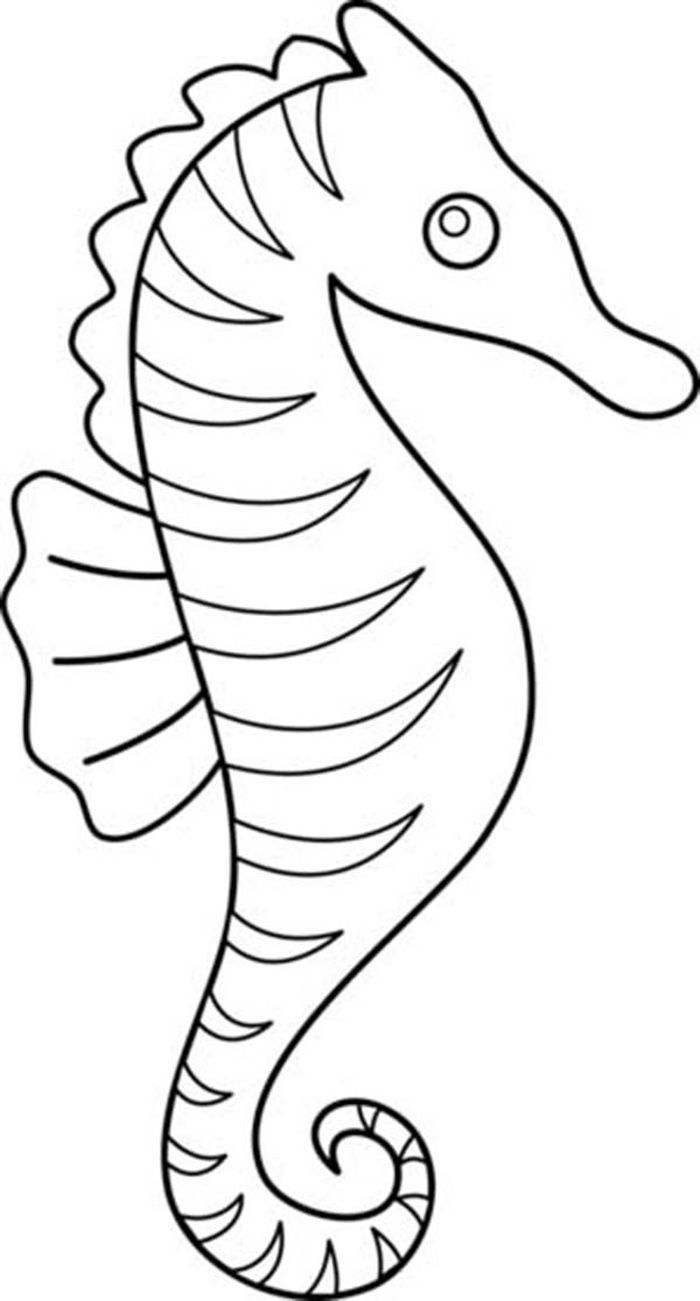 Printable seahorse coloring pages pdf horse coloring pages horse clip art coloring pages