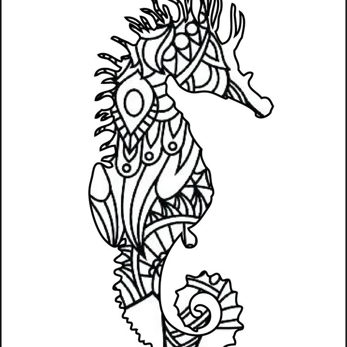 Adorable seahorse coloring pages â seahorses to color