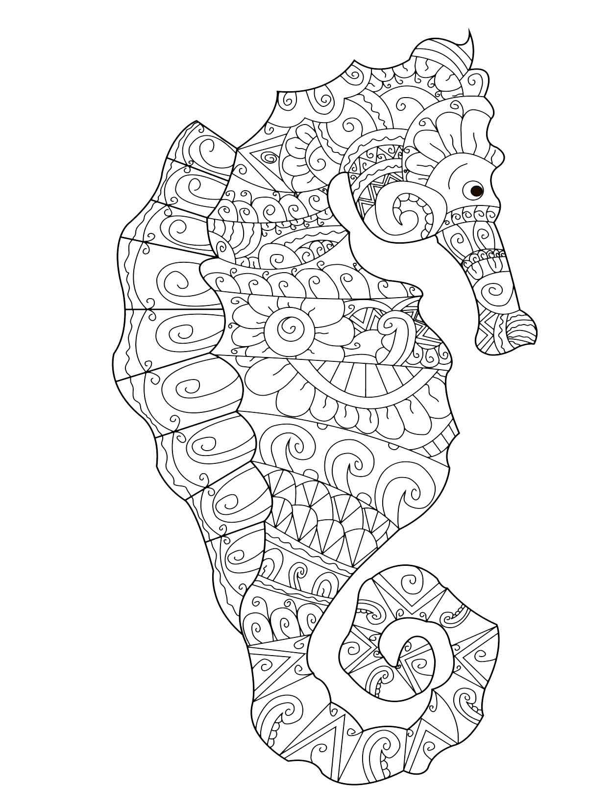 Seahorse coloring pages for adults
