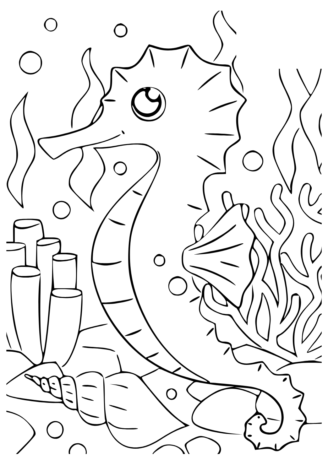 Free printable seahorse shell coloring page for adults and kids